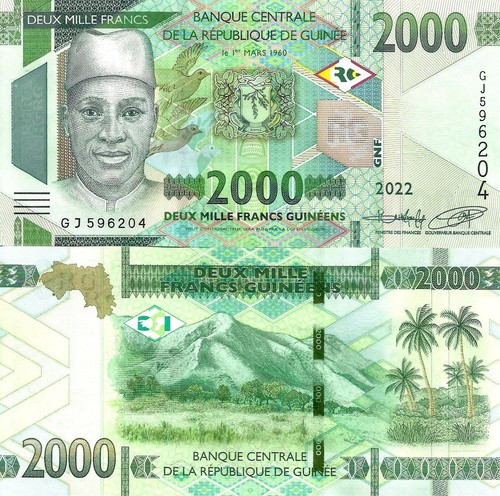Guinea 2000 franchi 2022 49b - franchi,